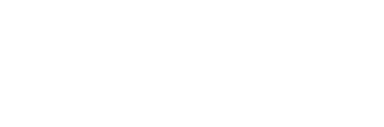 ORLEN Centrum Serwisowe